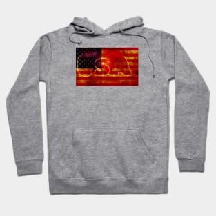 USA 3D Grunge Stars and Stripes Flag Hoodie